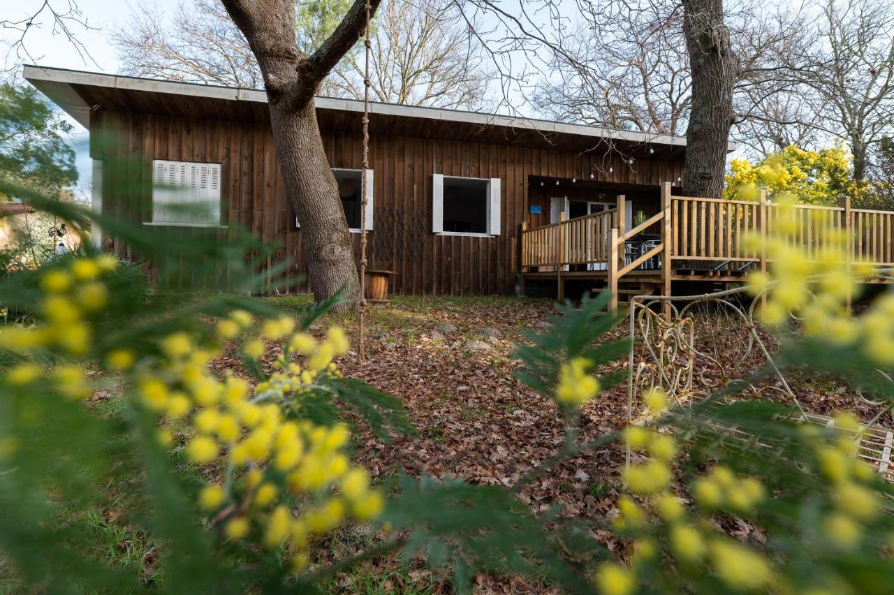 La Petite Maison Du Lac Biscarrosse Eksteriør billede